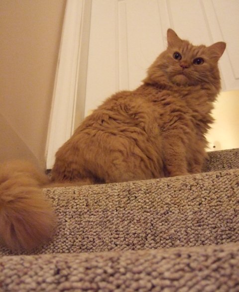 Sunny wants upstairs