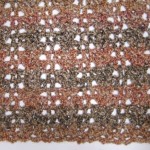 No Beginning Chain Quick Shell and Lace Blanket