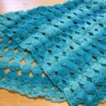 No Beginning Chain Egg Blanket